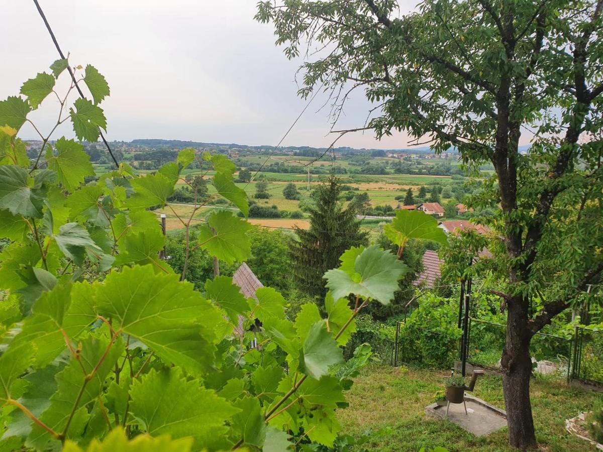 Holiday Home Draskica Oroslavje Екстер'єр фото